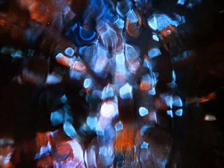 Aux Coeur du temps premiere episode 1