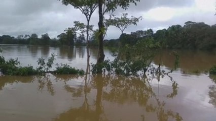 Otto deja al menos 9 muertos en C.Rica, que inicia a recuperarse tras el huracán