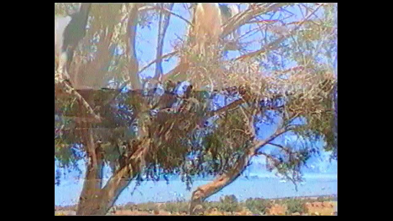 2002 Maroc Tétouan  Essaouira...