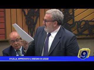 Xylella: in Commissione approvato il disegno di legge