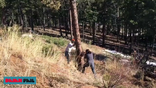 Best Epic Fails Compilation November 2016 | Week 1 #1 | Epic Fails 2016 |