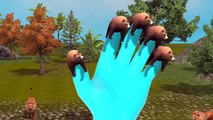 Top 3D Animated Bear Finger Family Rhymes For Children | Bear Finger Family