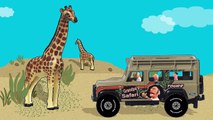 Dedemin Safari - Yazım Gorilla, Zürafa, Aslan, Kaplan ve Fil