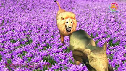 Lion Tiger Gorilla Finger Family Nursery children 3d animated animals rhymes