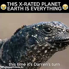 X-rated Planet Earth