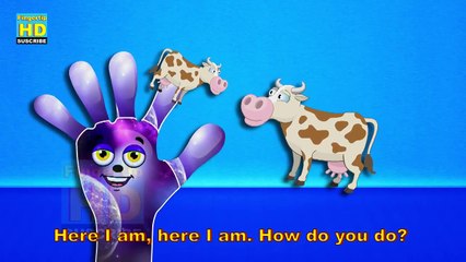 Finger Family Crazy Bull Finger Family Funny Finger Family Songs Top Fingertip Rhymes TV 1