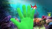 Dinosaur Vs Colors Shark Finger Family | Water Animals Finger Family | Animals Cartoon For Children