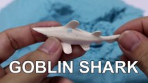 Learning Sharks for Children with Sand and Shark Toys-d8bw8xx4Kc8