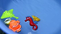 Swimming Shark Toy for Children - Hammerhead Shark Attacks-UlUoVbxVk-I