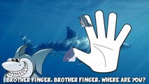 SHARK ATTACK Daddy Finger Family #Animation Nursery Rhyme Song For Kids 1