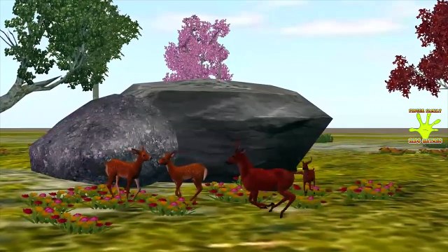 Beer Deer Animals Finger Family Rhymes Collection For Children | Animals Cartoon Rhymes For Children
