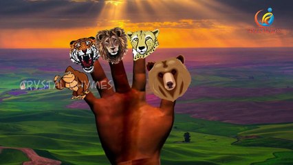 Animals Finger Family Nursery rhymes | Animals Train Accident | Rhymes Collection