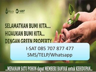 I-SAT 085 707 877 477 Jual benih pohon