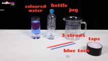 Super Cool Science Experiments For Science Projects Amazing Science Tricks by HooplaKidzLab