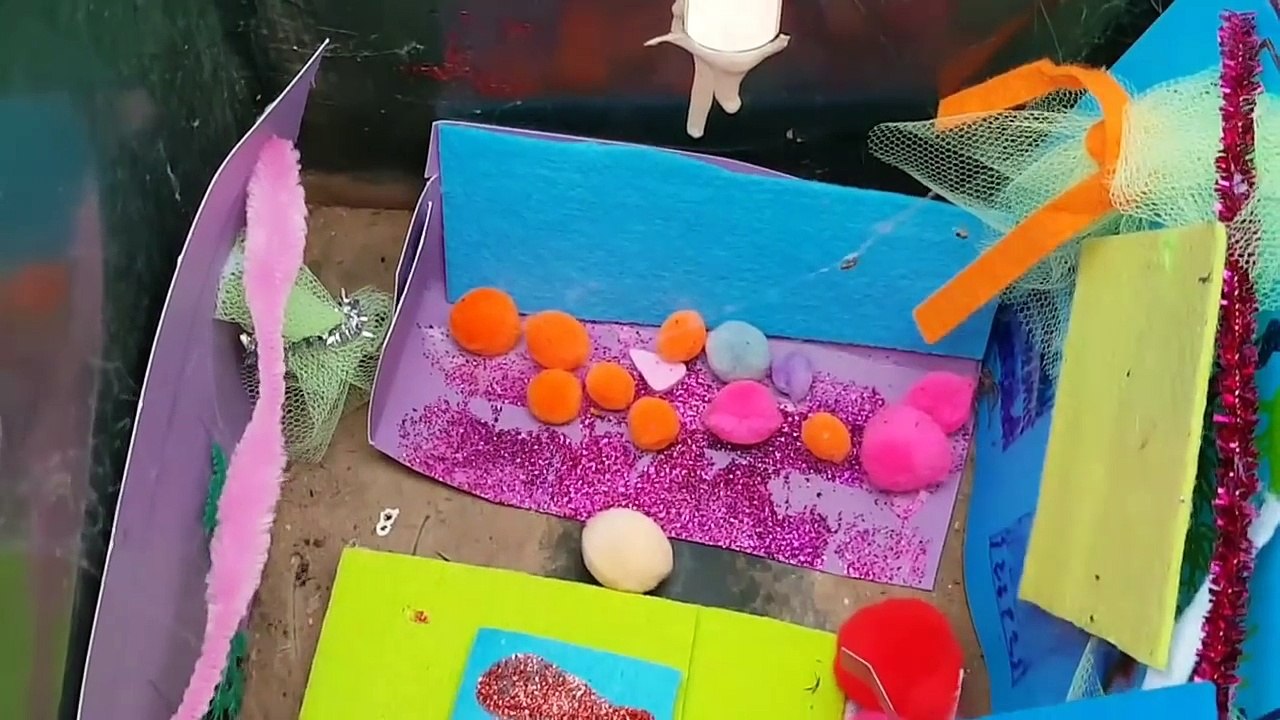 Elle ouvre sa boite aux lettres et tombe sur une araignée et ses nombreux petits. L'horreur !