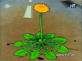 Löwenzahn  S09E06 - Peter baut sich grüne Wände