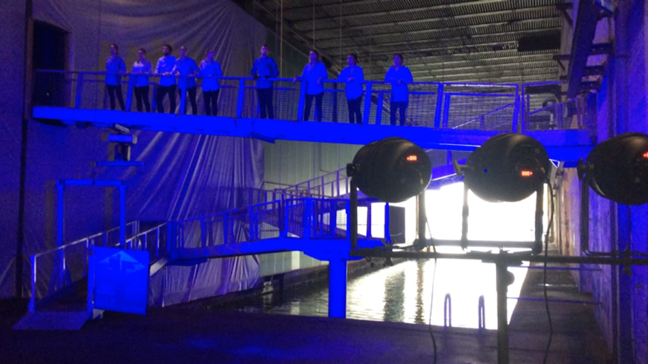 Hommage à Steve Reich