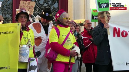 VIDEO. Poitiers : les opposants à la ferme-usine de Coussay-les-Bois manifestent