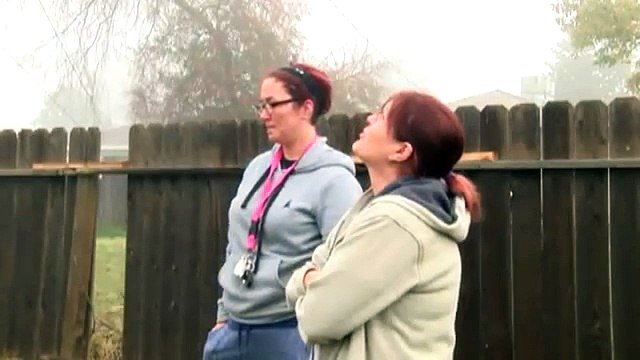 Un chat reste 9 jours sur un poteau électrique