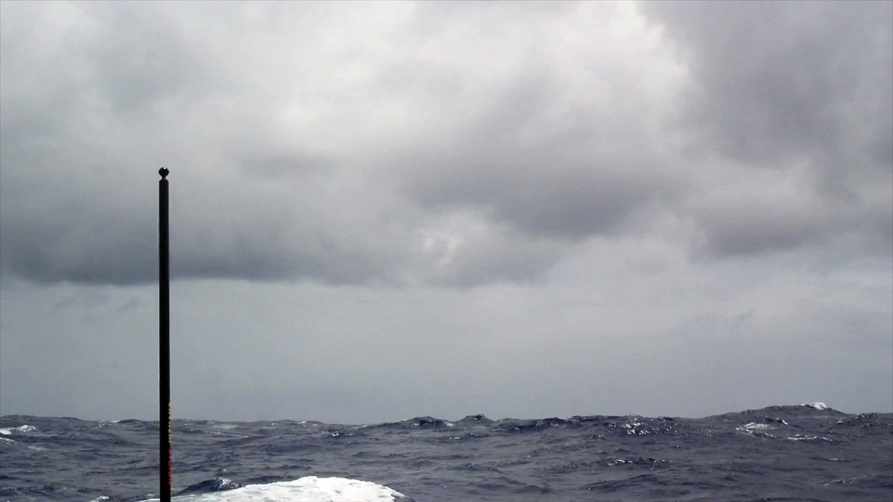 J21 : Kito de Pavant filme un albatros / Vendée Globe