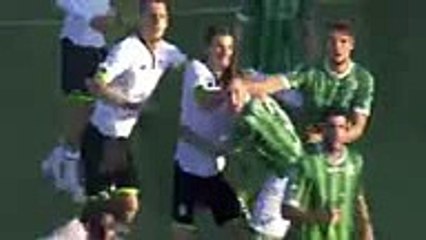 Cesena vs Avellino 3-0 All Goals & Tutti I Gol  Serie B 26-11-2016