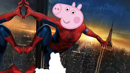 #PAWPATROL & #PEPPA PIG FAMILY TRANSFROM INTO #TMNT2 SUPERHEROES BATMAN v JOKER v VENOM #Animation