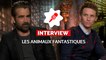 LES ANIMAUX FANTASTIQUES : Eddie Redmayne, Colin Farrell… et les pouvoirs magiques (INTERVIEW VIDÉO)