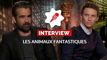 LES ANIMAUX FANTASTIQUES : Eddie Redmayne, Colin Farrell… et les pouvoirs magiques (INTERVIEW VIDÉO)