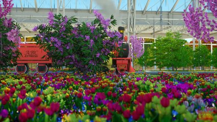 The Season Adventure with Shawn and Team (Learn About the Four Seasons)