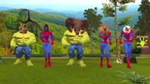 Spiderman Hulk Heads Turn Into Animals Finger Family | Frozen Elsa Rhymes Collection | Finger Family