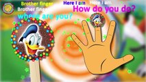 Secret Life Of Pets Cake Pop Finger Family Nursery Rhymes Lyrics and More