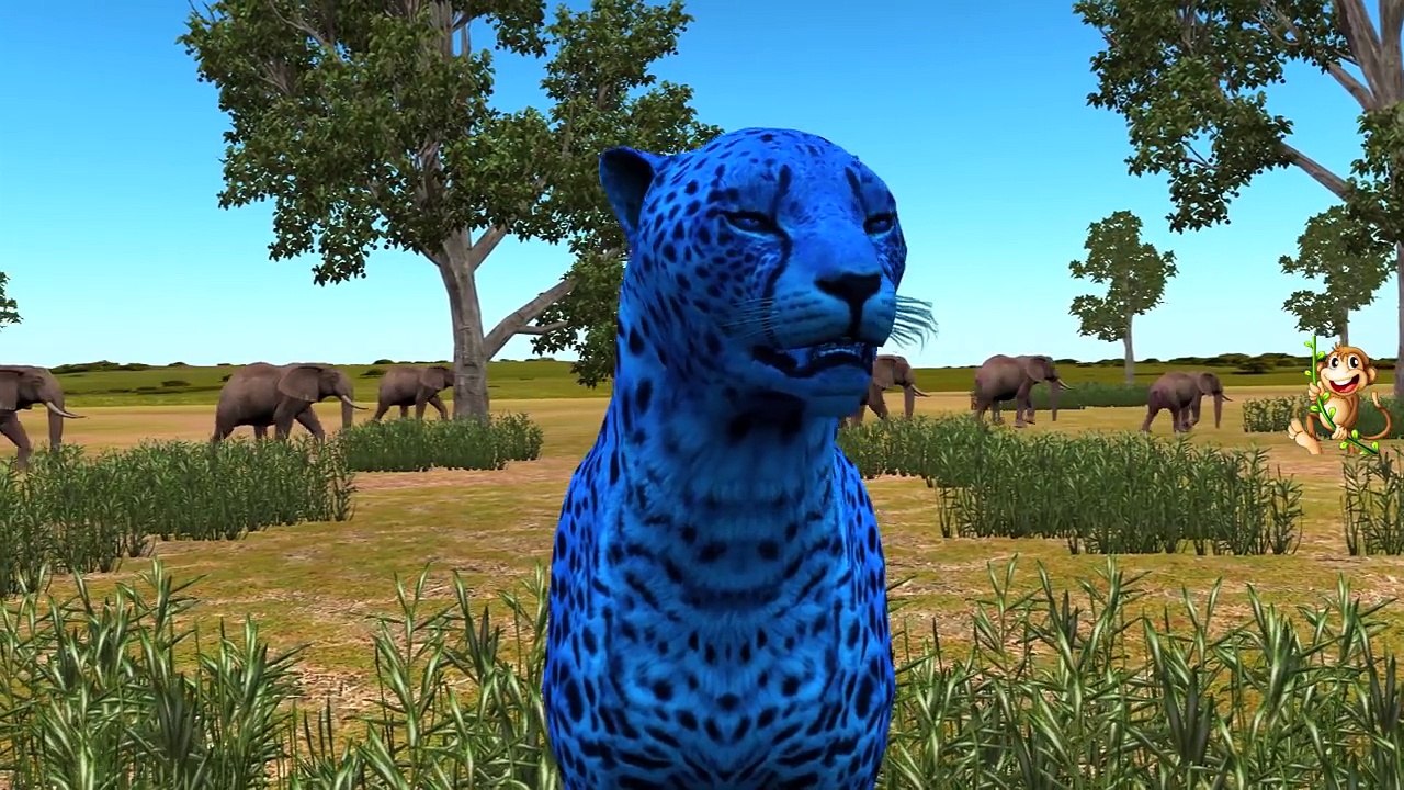 Funny Monkeys Sits On Elephant Finger Family | Dinosaurs Vs Monkeys Finger Family Rhymes Collection