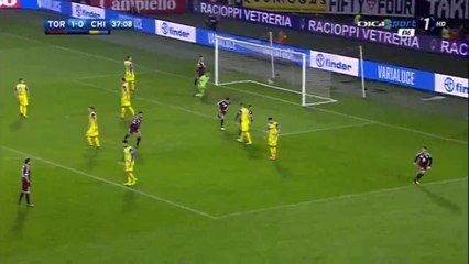 All Goals & Highlights HD - Torino 2-1 Chievo - 26.11.2016