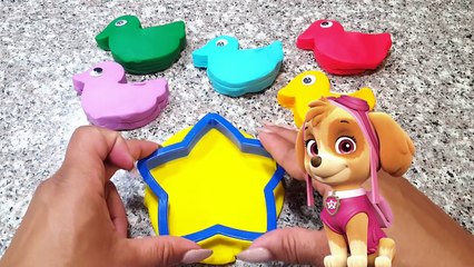 Best Preschool Videos: PAW PATROL Play Doh DUCKS & STARS | Play and Learn Colors Fun Preschool Toys