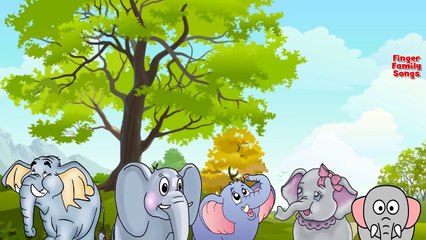 Elephant Animal children Finger Family Rhymes | Elephant cartoon Finger Family Songs