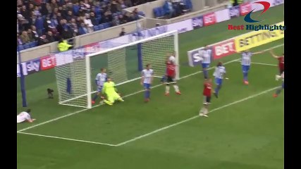 Brighton & Hove Albion VS Fulham 2-2 Highlights Championship 25-11-2016