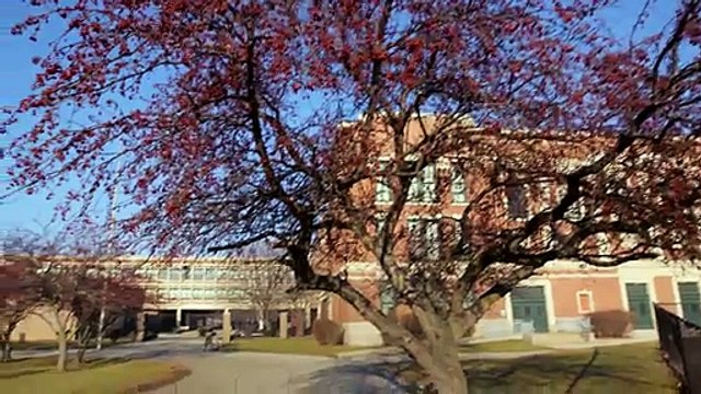 Croyant se rendre à un entretien d'embauche, elle fait une découverte incroyable