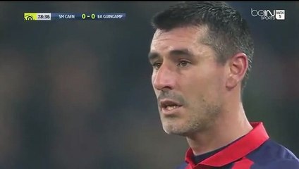 Ronny Rodelin GOAL  - Caen 1-0 Guingamp 26.11.2016
