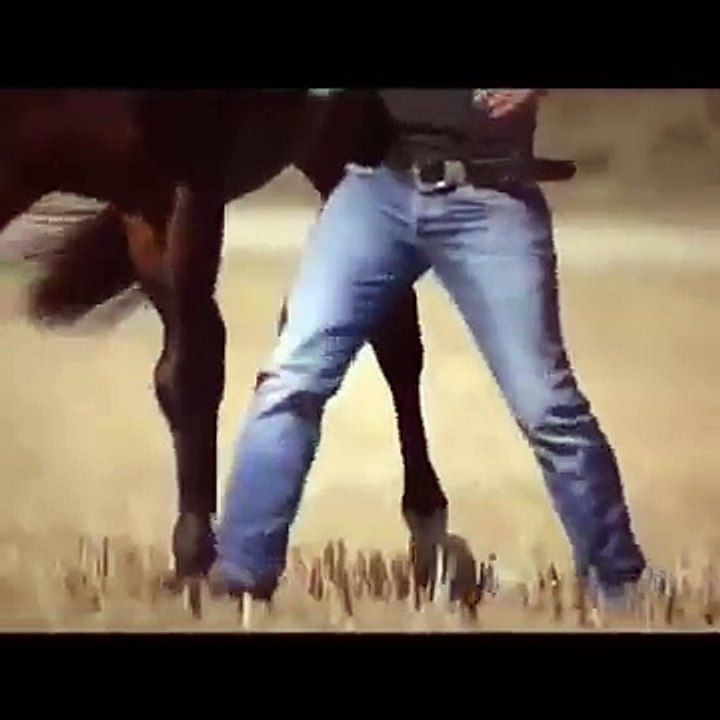 واہ جی واہ ڈانسر گھوڑا