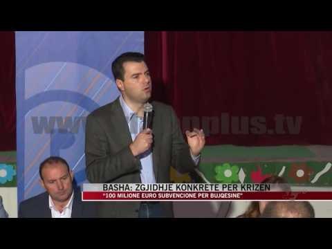 Basha: Zgjidhje konkrete për krizën - News, Lajme - Vizion Plus
