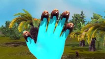 3D Animated Bear Finger Family Rhymes | Animated Animal Finger Family Rhymes