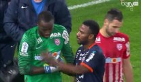 Montpellier vs Nancy 0-0 - Le Résumé du Match Highlights (26.11.2016) - Ligue 1