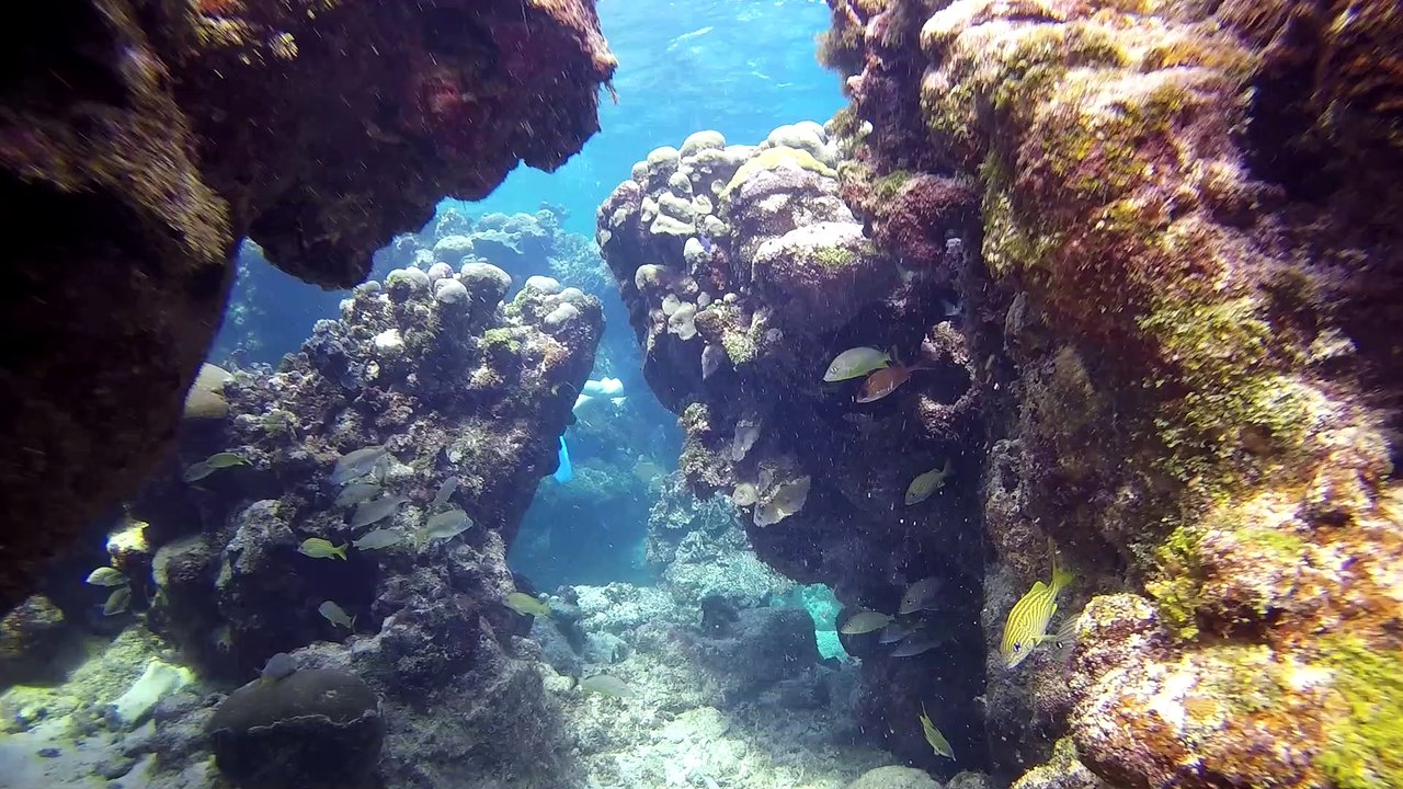 cuba 2015