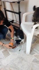 Organik..Glutensiz..Ekonomik..Lezzetli..❤❤❤