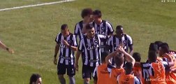 Botafogo X Ponte Preta Gol de Sassá 37ª Rodada do Brasileirão 26-11-2016 (HD)
