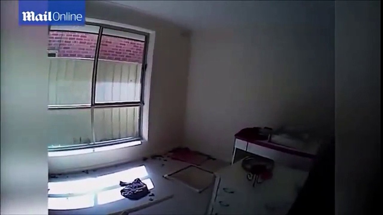 Woman locked 14 cats in her house For Few Days...