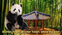 Finger Family Finger Family Animals compilation Daddy Finger Song Finger Family Nursery Rhymes C