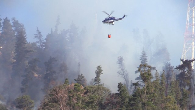 Incendio consume cuatro hectáreas del Parque Metropolitano Santiago de Chile
