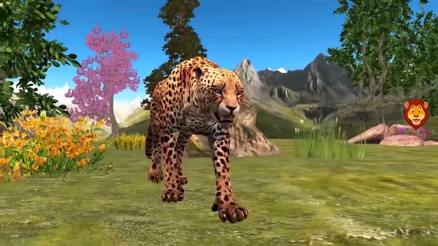 Lion Finger Family Songs For Babies | Tiger Finger Family Nursery Rhymes For Kids | Cheetah Cartoons