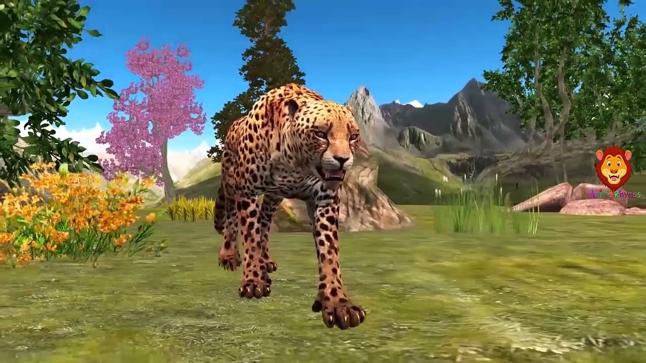 Lion Finger Family Songs For Babies | Tiger Finger Family Nursery Rhymes For Kids | Cheetah Cartoons